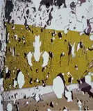 Louise Lawler, Not Lizard