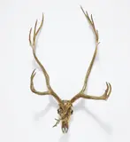 Sherrie Levine, Caribou Skull, 2006, cast bronze
