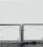 Louise Lawler, Twice Untitled