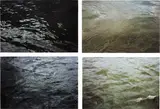 Roni Horn, From Some Thames