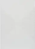 Ned Vena, Untitled, 2010, Rustoleum flat white enamel on linen laid on panel