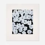 Donald Sultan, Wallflower 8 (from the Wallflowers portfolio), 2008, screenprint in colors