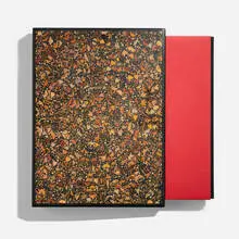Fred Tomaselli, Phrase book, 2000, book, one etching, three relief prints and five offset lithographs in colors