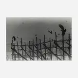 Masahisa Fukase, Nayoro (from the Solitude of Ravens portfolio), gelatin silver print