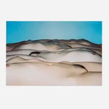 Ren Hang, Untitled, digital C-print mounted to aluminum