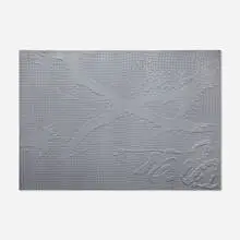 Ben Schumacher, Yet to be titled, 2012, glue, netting and acrylic on canvas