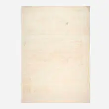 Fredrik Værslev, Untitled, 2013, acrylic primer, pigment and white spirit on canvas
