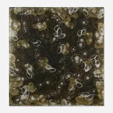 David Mann, Three Way Mirror, 2006, oil, alkyd and acrylic on canvas over board