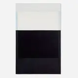 Aaron Bobrow, TBT, 2014, ink and enamel on vestibule partition