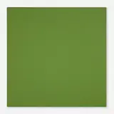 Phil Sims, Untitled (Green) (Gubbio Study), 1997, oil on linen