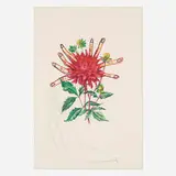 Dahlia rapax (from the Surrealist Flowers portfolio) by Salvador Dalí, 1972, drypoint etching and heliogravure in colors on Arches, sold Mar 2024