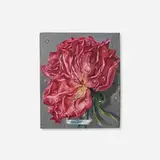 Aaron Bohrod, Old Rose