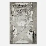 Shannon Ebner, Touch Liberty, 2009, Epson print on Dibond