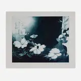 Lisa Yuskavage, Night Flowers (from Exit 99: Exit Art Portfolio 1999), 1999, etching and aquatint in colors