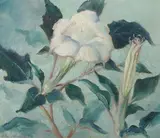 J. Grendall, Datura Blossom, Oil on canvas