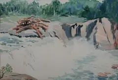 River Rapids by Fay Turpin, Watercolor on paper, offered Jul 2009