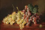 F. B. Springer, Still Life with Grapes, Oil on canvas