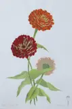 James Linton Sain, Zinnias, Watercolor