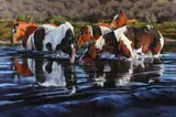 Karen Bonnie, A Little R & R, Oil on canvas