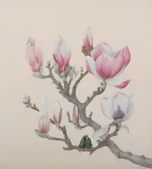 Ernst von Maydell, Beetles on Magnolia Branch, Watercolor