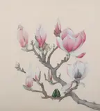 Ernst von Maydell, Beetles on Magnolia Branch, Watercolor