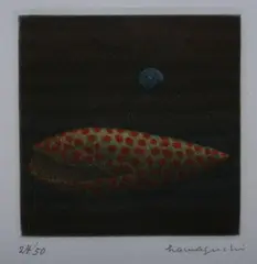 Yōzō Hamaguchi, Shells, LITERATURE: No. 77 in Tokyo Metropolitan Teien Art Museum, ed., "Yozo Hamaguchi: Master of Mezzotint" (Tokyo: 1990)
