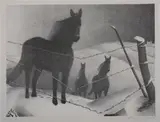 Grant Wood, February 1940