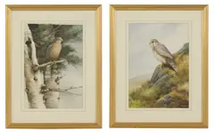 Neil Cox, Untitled, pencil and watercolour 44 x 29.5cm (2)