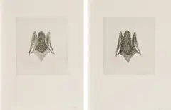 B.A.T. (front/back) by Kiki Smith, 2000, Serie von 2 Radierungen auf Velin, sold Jun 2019