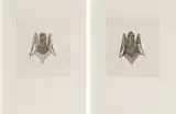 Kiki Smith, B.A.T. (front/back)