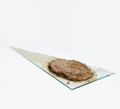 Felix Droese, Auktion 432, Los 618, 1991, Getrockneter Kuhfladen auf Glasplatte