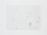 Rosemarie Trockel, Haarbild