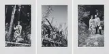 Anna & Bernhard Blume, Serie von 3 Fotografien