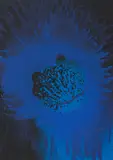 Otto Piene, Ohne Titel, 1974, Farbserigrafie auf leichtem Karton