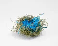 Björn Braun, Ohne Titel (Nest), 2010, Draht und Bindfaden
