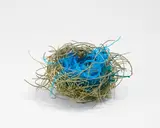 Björn Braun, Ohne Titel (Nest), 2010, Draht und Bindfaden
