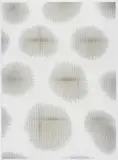 Hugh Scott-Douglas, Untitled