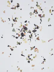 Bomber Harris by Adam McEwen, 2010, acrylic and chewing gum on canvas, sold Dec 2019