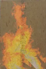 Peter Sutherland, Bonfire 6, 2014, inkjet print on perforated vinyl and matte medium on OSB