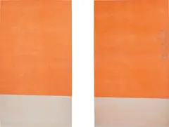 Fredrik Værslev, UNTITLED (CANOPY PAINTING), 2013, spray paint, corrosion protective spray, lacquer, white spirit, gravel and wooden shavings collage on stitched canvas, diptych