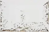 Analia Saban, Erosian (Room) #2, 2011, laser-sculpted acrylic paint on canvas