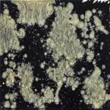 Keith Tyson, Nature Painting, 2005, oil on aluminium