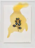Fabrice Hyber, Yeux, 2008, resin and glass on paper in Perspex box
