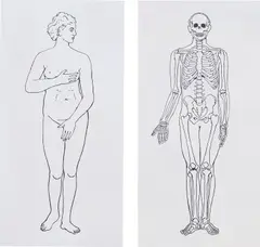 Serie Mensch, Frau und Skelett by Katharina Fritsch, 1997, silkscreen on paper, in 2 parts, sold Dec 2019