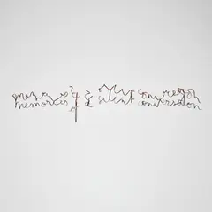 Fred Eerdekens, Memories of a Silent Conversation, 2012, copper wire, in 5 parts