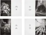 Louis Ledebur, Awakening, 2019, silver gelatine print on ilford fibre glossy, in 4 parts