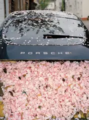 Yulia Lebedeva, Sakura Rain, 2011, c-type photographic print on aluminium Dibond-mount