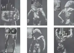 Sterling Ruby, Physicalism, The Recombine 1- 6, 2006, Lambda print, in 6 parts