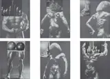 Sterling Ruby, Physicalism, The Recombine 1- 6