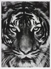 Tiger by Robert Longo, 2011, Archival pigment print, on Epson hot-pressed paper, with full margins,, sold Jan 2019